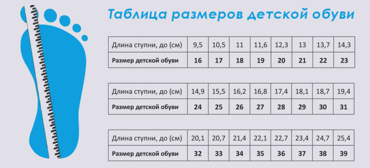МГ000049619